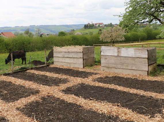 Garten-2014-Beet-Hochbeet-Kompos