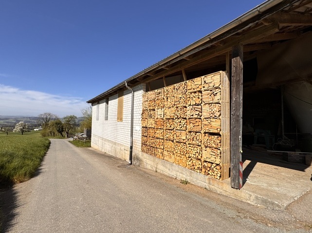 Holz-Harassen-Holzstapel-49 Harassen-Hohenrain
